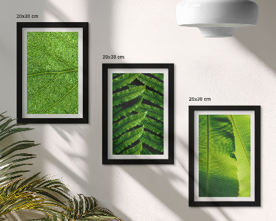 Zidna galerija slika Krupni planovi tropskog lišća