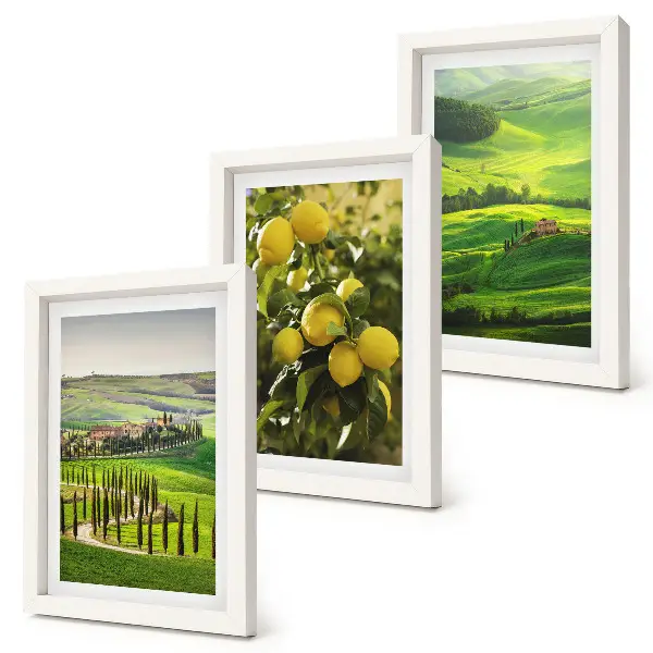 Zidna galerija slika talijanski krajolici s citrusima i zelenim brdima