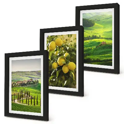 Zidna galerija slika talijanski krajolici s citrusima i zelenim brdima