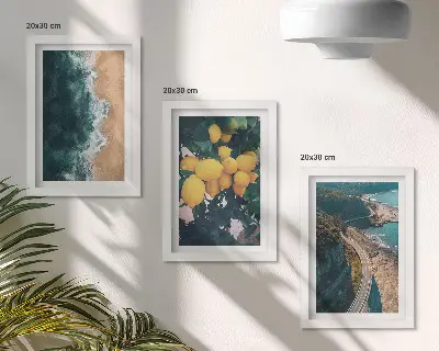 Set od 3 slike u okviru morska plaža, limuni i planinski krajolik s obalnom cestom