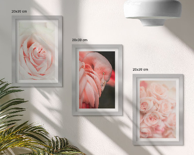 Zidna galerija slika Pastelne ružičaste i flamingo u nježnim nijansama