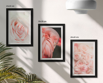 Zidna galerija slika Pastelne ružičaste i flamingo u nježnim nijansama