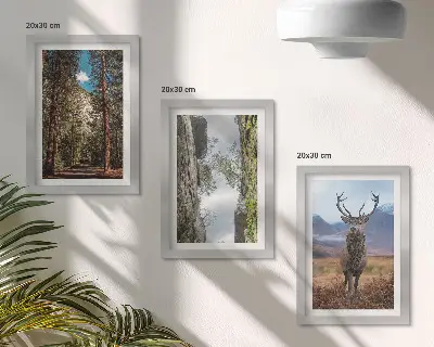 Komplet slika u okviru cesta u šumi s planinama i jelenima