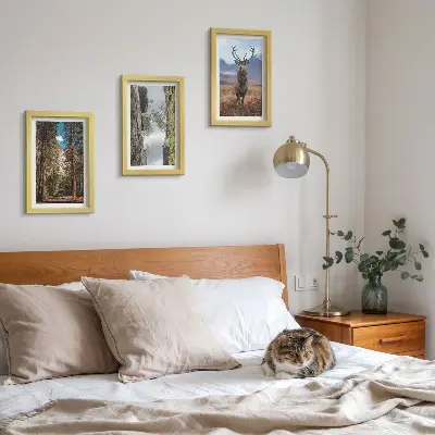 Komplet slika u okviru cesta u šumi s planinama i jelenima