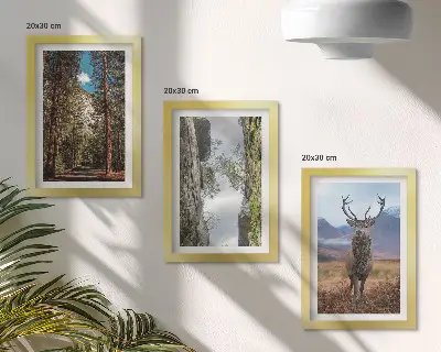 Komplet slika u okviru cesta u šumi s planinama i jelenima