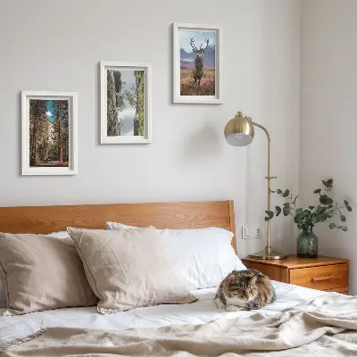 Komplet slika u okviru cesta u šumi s planinama i jelenima