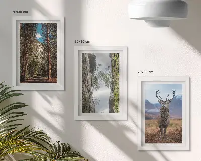 Komplet slika u okviru cesta u šumi s planinama i jelenima