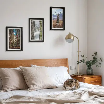 Komplet slika u okviru cesta u šumi s planinama i jelenima