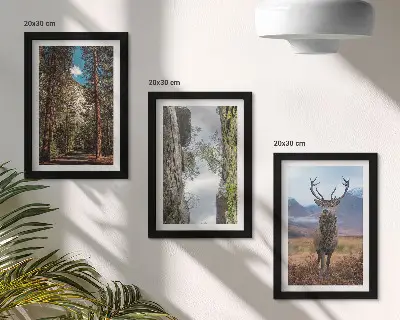 Komplet slika u okviru cesta u šumi s planinama i jelenima