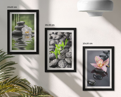 Zidna galerija slika Mirna zen kompozicija kamenja i cvijeća na vodi