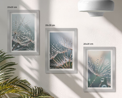 Zidna galerija slika Kapljice vode na nježnim izdancima maslačka