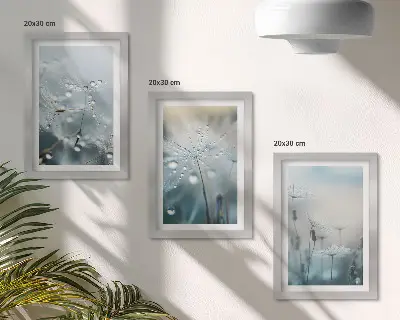 Kapljice rose na nježnim maslačcima set od 3 slike u okviru