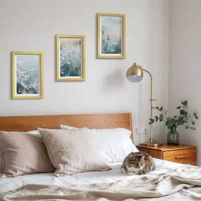 Kapljice rose na nježnim maslačcima set od 3 slike u okviru