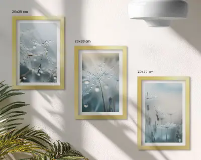 Kapljice rose na nježnim maslačcima set od 3 slike u okviru