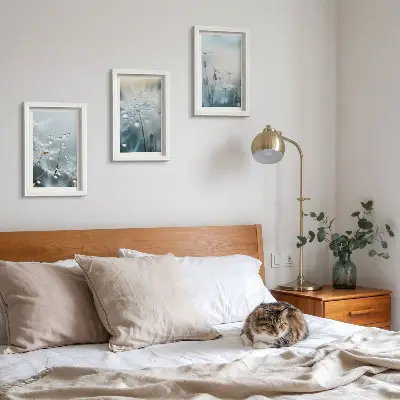 Kapljice rose na nježnim maslačcima set od 3 slike u okviru