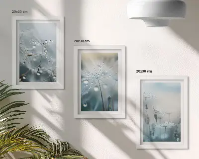 Kapljice rose na nježnim maslačcima set od 3 slike u okviru