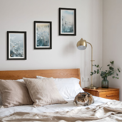 Set 3 slike u okviru Kapljice rose na nježnim maslačcima