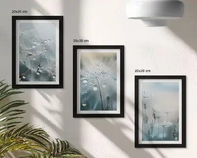 Kapljice rose na nježnim maslačcima set od 3 slike u okviru