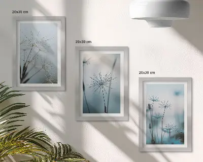 Nježni maslačci s kapljicama vode komplet slika u okviru