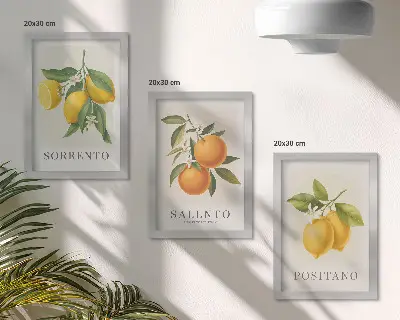Set od 3 slike u okviru limuni i naranče s talijanske obale Amalfi