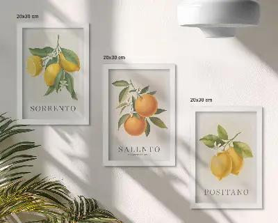 Set od 3 slike u okviru limuni i naranče s talijanske obale Amalfi