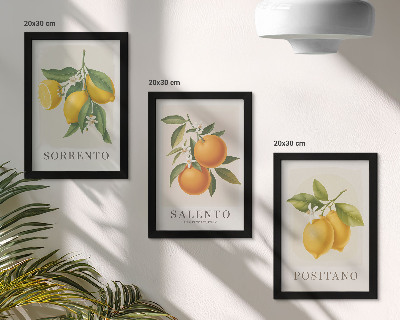 Set 3 slike u okviru Limuni i naranče s talijanske Amalfijske obale