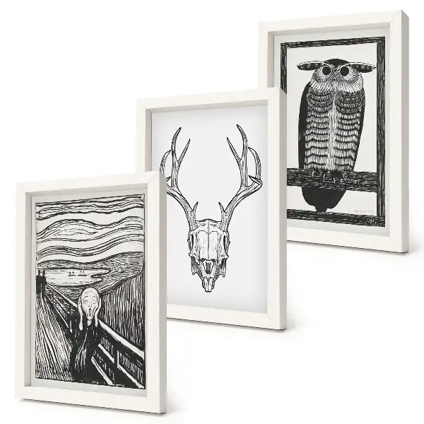 Zidna galerija slika nadahnuta motivom lubanje i sove u grafičkom stilu