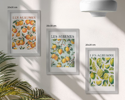 Set 3 slike u okviru Voćni citrusni uzorci u pastelnim bojama