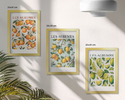 Set 3 slike u okviru Voćni citrusni uzorci u pastelnim bojama