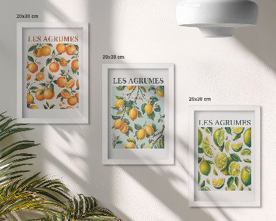 Set 3 slike u okviru Voćni citrusni uzorci u pastelnim bojama