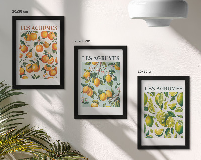 Set 3 slike u okviru Voćni citrusni uzorci u pastelnim bojama