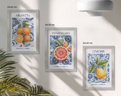 Zidna galerija slika Ilustracije starinskog citrusnog voća