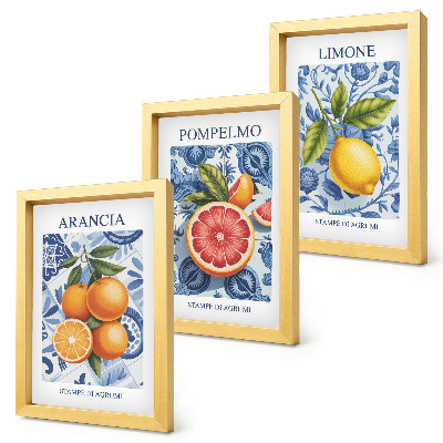 Zidna galerija slika Ilustracije starinskog citrusnog voća
