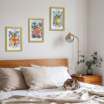 Zidna galerija slika Ilustracije starinskog citrusnog voća