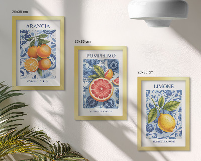Zidna galerija slika Ilustracije starinskog citrusnog voća