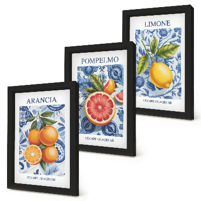 Zidna galerija slika Ilustracije starinskog citrusnog voća