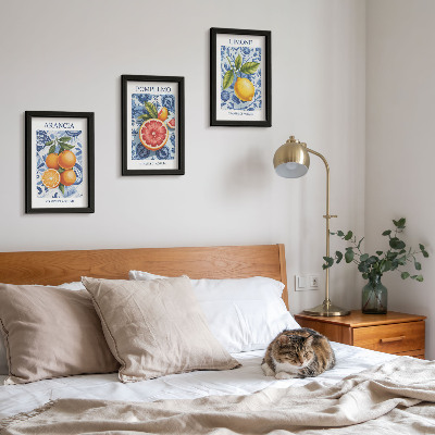Zidna galerija slika Ilustracije starinskog citrusnog voća