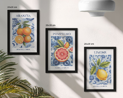Zidna galerija slika Ilustracije starinskog citrusnog voća