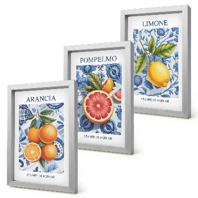 Zidna galerija slika Ilustracije starinskog citrusnog voća