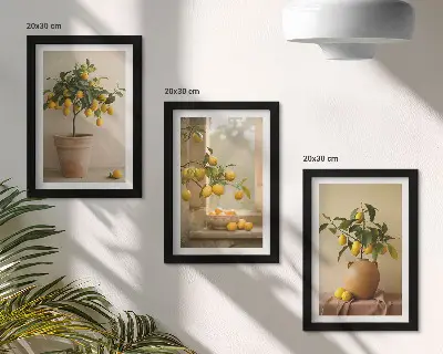 Stabla limuna u posudama i na prozoru set od 3 slike u okviru