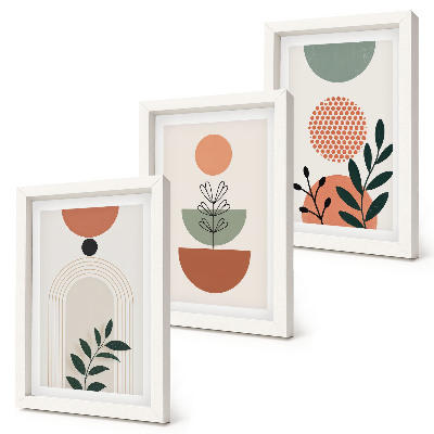 Set 3 slike u okviru Biljni motivi u modernim oblicima i bojama