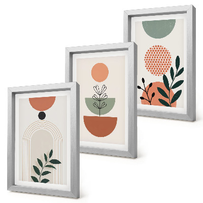 Set 3 slike u okviru Biljni motivi u modernim oblicima i bojama