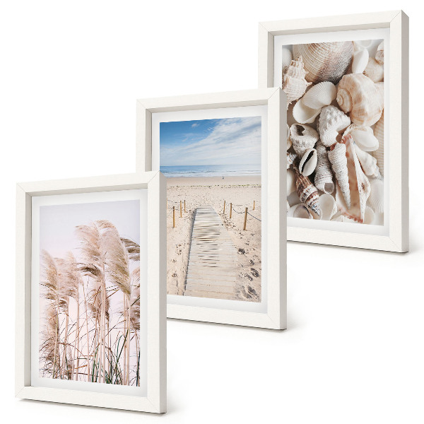 Set 3 slike u okviru Pješčana plaža sa školjkama i morskom travom