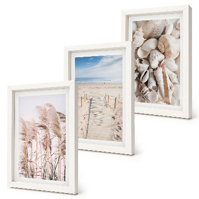 Set 3 slike u okviru Pješčana plaža sa školjkama i morskom travom