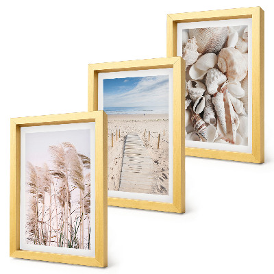 Set 3 slike u okviru Pješčana plaža sa školjkama i morskom travom
