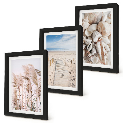 Set 3 slike u okviru Pješčana plaža sa školjkama i morskom travom