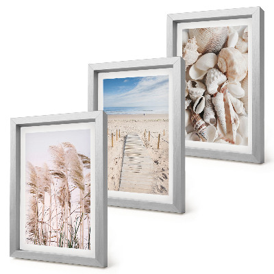 Set 3 slike u okviru Pješčana plaža sa školjkama i morskom travom