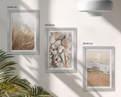 Zidna galerija slika Motivi plaže sa školjkama i morskim valovima