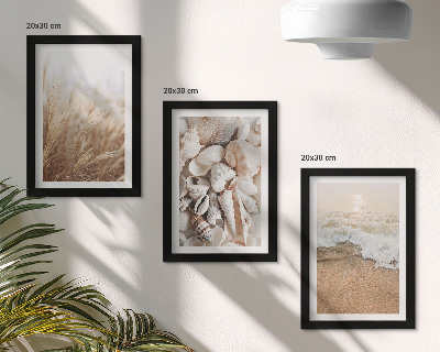 Zidna galerija slika Motivi plaže sa školjkama i morskim valovima