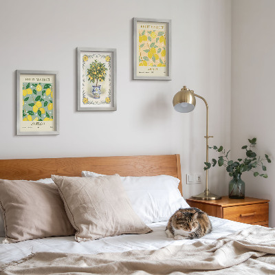 Set 3 slike u okviru Talijanski posteri s citrusima i voćem